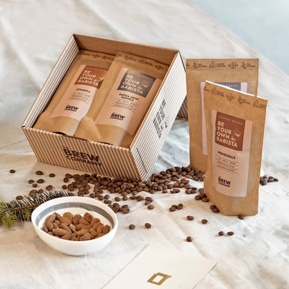 SPECIALTY COFFEEBREWER TASTER BOX